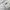 The North Face Sportswear Casual Track jacket Pria white photo 5