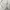 The North Face Sportswear Casual Track jacket Pria white photo 7