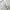 The North Face Sportswear Casual Track jacket Pria white photo 6