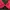 Umbro Casual Sweater Pria red black photo 5