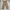 Uniqlo Vintage Casual Casual pants Pria tan photo 4