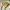 Minimalist Casual Handbag Wanita yellow photo 3