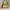 Minimalist Casual Handbag Wanita yellow photo 1