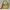 Minimalist Casual Handbag Wanita Yellow