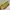 Minimalist Casual Handbag Wanita yellow photo 8