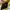 Minimalist Casual Handbag Wanita yellow photo 6
