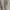 Luxury Midi dress Wanita white tan photo 3