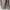 Luxury Maxi dress Wanita pink photo 2
