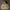 Vintage Streetwear Hoody Pria yellow photo 1