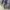 Lolita Futurist Midi dress Wanita gray blue photo 3
