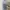 Japanese brand Lolita Futurist Midi dress Wanita tan blue photo 1