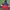 Biker Casual Windbreaker Kids navy red photo 1