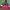 Biker Casual Windbreaker Kids Navy Red
