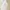 WHO.A.U Streetwear Y2K Harrington jacket Pria white photo 4