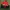 Sportswear Casual Outerwear Kids navy red photo 1