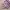 Uniqlo Sportswear Reworked Crop top Wanita purple pink photo 2