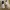 Casual Sandals & slide Wanita white black photo 3