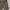 Hollister Streetwear Y2K Pria tan brown photo 2