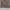 Hollister Streetwear Y2K Pria tan brown photo 6