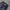 Dickies Casual Casual pants Pria black photo 4