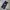 Dickies Casual Casual pants Pria navy photo 1