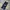 Dickies Casual Casual Pants Pria Navy