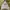 Mahagrid Streetwear Casual Hoody Pria gray photo 1