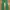 Japanese brand Streetwear Y2K Jeans Pria green photo 1