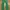 Japanese Brand Streetwear Y2K Jeans Pria Green