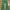 Japanese brand Streetwear Y2K Jeans Pria green photo 6