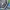 Sportswear Casual Outerwear Kids gray blue photo 4