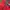 Sportswear Casual Outerwear Kids navy red photo 4