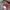 Sportswear Casual Outerwear Kids navy red photo 3