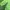 Sportswear Casual Outerwear Kids green navy photo 3