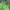 Sportswear Casual Outerwear Kids green navy photo 2