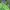 Sportswear Casual Outerwear Kids Green Navy