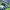 Sportswear Casual Outerwear Kids green navy photo 5