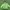 Sportswear Casual Outerwear Kids green navy photo 1