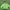 Sportswear Casual Outerwear Kids Green Navy
