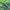 Sportswear Casual Outerwear Kids green navy photo 4