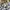 Kansai Yamamoto Streetwear Casual Casual shirt Pria white blue photo 5