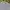 Kansai Yamamoto Streetwear Casual Casual shirt Pria white blue photo 2