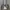 Casual Hoody Wanita gray photo 2