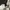 Calvin Klein Casual T-shirt Pria white black photo 3