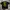 Kenzo Casual T-shirt Pria black photo 1