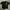 Kenzo Casual T-shirt Pria black photo 2