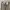 Dickies Casual Casual pants Pria khaki photo 3