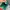 Adidas Sportswear Sneakers Pria Green