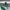 Adidas Sportswear Sneakers Pria Green