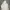 Fila Minimalist Hoody Pria white photo 5